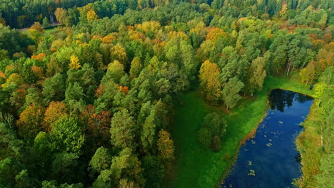 Multicolor-forest-small-wonderful-nature-lake-aerial-descend-landscape