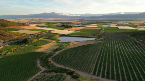 Aerial-view-of-the-Riebeek-Valley-in-the-Western-Cape,-South-Africa