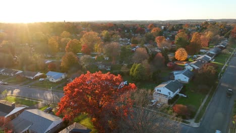 Luftaufnahme-Eines-Vorortviertels-Mit-Farbenfrohem-Herbstlaub-Bei-Sonnenuntergang