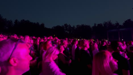 Menschen-Jubeln-Bei-Einem-Rockkonzert