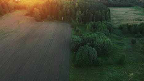Drohne,-Die-Sich-Vor-Hirschen-Auf-Ländlichen-Feldern-Mit-Farbenfrohen-Sonnenuntergangsfackeln-Neigt