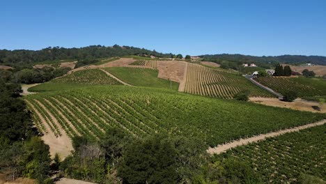 Imágenes-De-Drones-Aéreos-De-4k-Sobre-Colinas-De-Viñedos-Y-Bodegas-En-El-Valle-De-Napa,-California