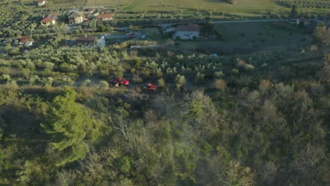 Drone-shot-of-firefighters-spraying-water-on-burning-olive-trees-with-truck-and-hydrants