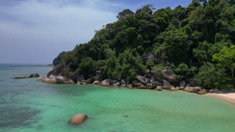 Seychelles-beach-palm-trees-smooth-rocks