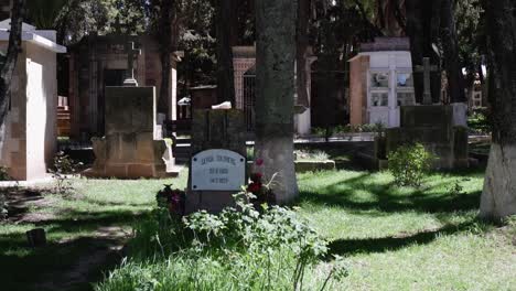 Lápida-Sobre-La-Tumba-En-El-Cementerio-De-Greta-Goldberg,-Quien-Murió-En-1938