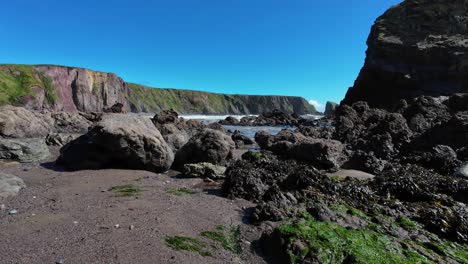 Sandy-beach-green-seaweed-and-secluded-beach-Waterford-Ireland