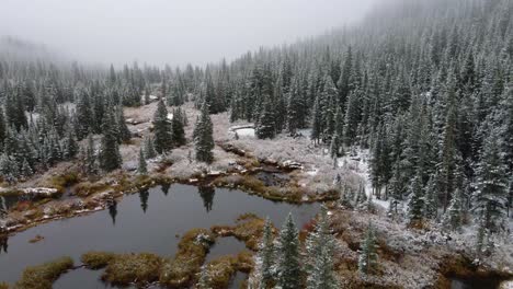 4k-Aerial-Drone-Footage-of-Evergreen-Trees-and-Small-Lakes-Covered-in-Snow-near-Breckenridge-Colorado-in-Winter