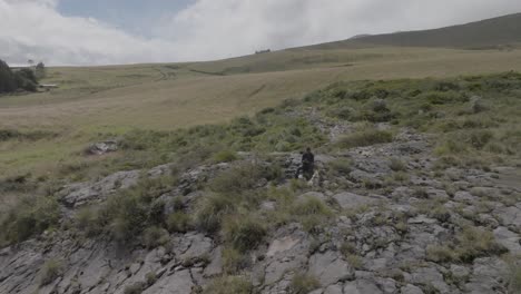 Vista-De-Drone-Del-Hombre-Con-Su-Perro-Mascota