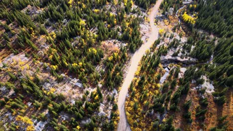 Imágenes-Aéreas-De-4.000-Drones-De-árboles-De-Hoja-Perenne-Y-álamos-Fuera-De-Los-Lagos-Azules-De-Breckenridge,-Colorado