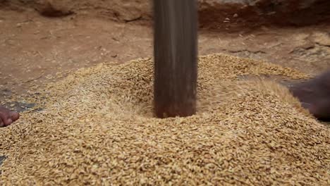 Woman-pounding-grain-to-make-food