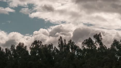 Timelapse-De-Nubes-Formando-Una-Tormenta-Y-Moviéndose-Sobre-Los-árboles-De-Un-Bosque