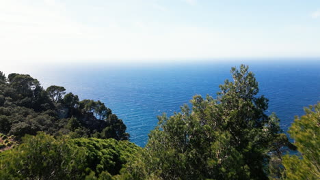 Scenic-view-of-Mallorca-coastline-with-lush-greenery