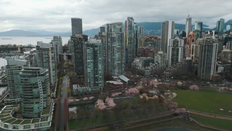 Toma-Aérea-Alrededor-Del-Puerto-Deportivo-De-La-Ciudad-De-Vancouver-Y-El-Parque-David-Lam-Con-Flores-De-Cerezo-Y-El-Horizonte-En-Un-Día-Nublado,-Columbia-Británica,-Canadá