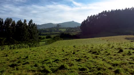 Luftaufnahme-Einer-Grünen-Wiese-Vor-Dem-Vulkan-Pasochoa-In-Der-Provinz-Pichincha