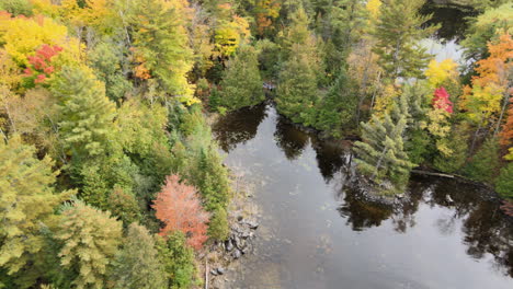 An-aerial-view-of-colorful-trees-and-calm-water