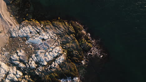 Sunrise-light-spreads-across-thick-layer-of-rocks-covered-in-algae,-drone