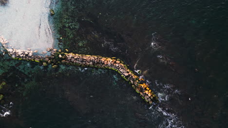 Drone-top-down-ascend-above-breakwater-covered-with-green-algae-at-sunrise