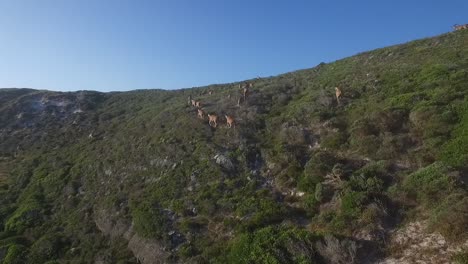 Cape-Point-Naturreservat,-Südafrika