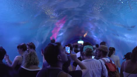 Valencia,-Spain,-April-2024:-People-at-aquarium-tube-watching-fishes