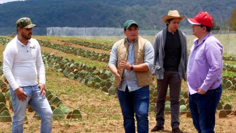 Agricultores-Mexicanos-Discutiendo-Rendimientos-De-Cactus.