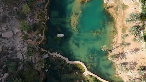 Luftaufnahme-Der-Wunderschönen-Wadi-Bani-Khalid-Oase-Mit-Türkisfarbenem-Wasser,-Fluss-Und-Palmen-Im-Sultanat-Oman