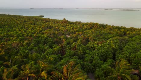 Aerial-panoramic-view-of-the-incredible-jungle-with-its-palm-trees-moving-by-the-wind-and-the-lagoon-in-the-background