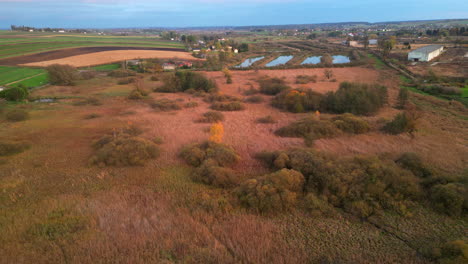 Atemberaubendes-Drohnenfoto-Einer-Polnischen-Wiese-Bei-Sonnenuntergang,-Das-Entfernte-Teiche-Und-Felder-Im-Herbst-Zeigt