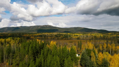 AERIAL:-Vibrant-Fall-Footage-of-Trees-in-Canada