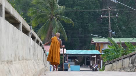 Monk-in-orange-robe-walking-along-a-village-path,-palm-trees-lining-the-road,-serene-atmosphere