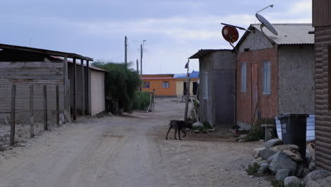 Paseos-De-Perros-En-La-Calle-En-Un-Rústico-Pueblo-Pesquero,-Caleta-Chañaral,-Chile