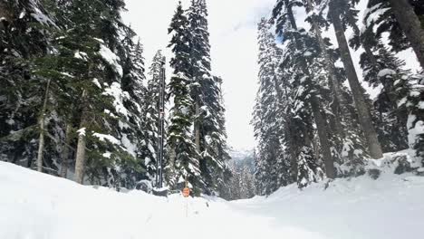 Toma-En-Cámara-Lenta-Con-Inclinación-Extrema-Que-Revela-Una-Hermosa-Pista-De-Esquí-Rodeada-De-Nieve-Y-Pinos-En-La-Estación-De-Esquí-De-Snoqualmie-En-Washington,-EE.UU.