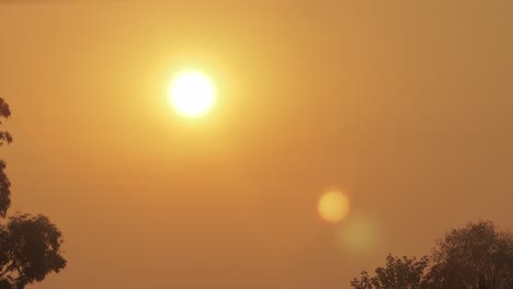 Early-Sunrise-Big-Orange-Sun-Hazey-Clear-Sky-Australia-Victoria-Gippsland-Maffra-Medium-Shot