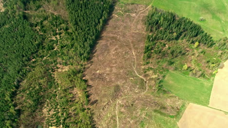 Drone-shot-of-a-forest-that's-been-cut-down-and-harvested-for-lumber