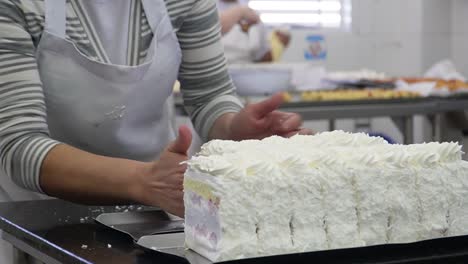 Sea-Testigo-Del-Arte-De-Los-Pasteles-En-Su-Máxima-Expresión:-Un-Primer-Plano-Captura-A-Un-Chef-Creando-Hábilmente-Deliciosos-Pasteles-Con-Precisión.