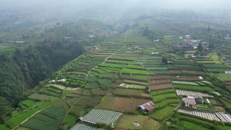 Agricultura-En-Las-Laderas-Inferiores-De-Gunung-Gede-En-Java-Occidental,-Indonesia