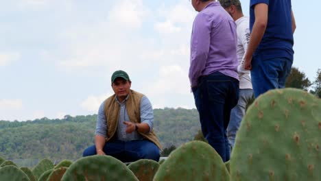 Bauern-In-Mexiko-Sprechen-über-Kaktuskulturen-Auf-Neu-Bepflanzten-Feldern