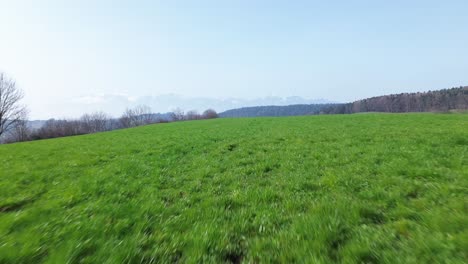 Drone-fly-close-above-green-field-of-grass-with-snow-covered-mountains-far-in-the-background