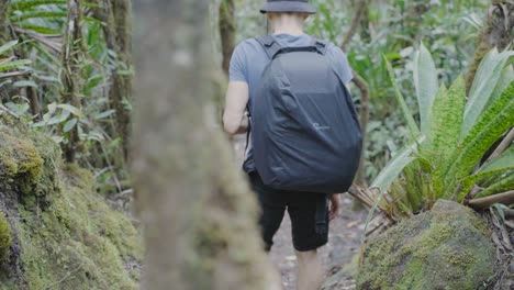 Ein-Mann-Wandert-Auf-Dem-Arenal-Vulkanpfad-In-Costa-Rica