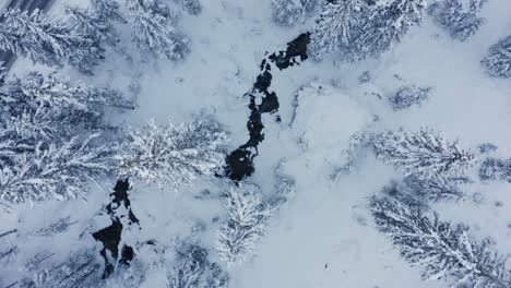 River-appears-in-the-frozen-woodland-winter-landscape-Top-down-descending-drone-view