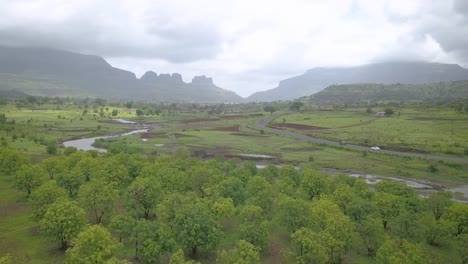 Agroforestry-and-Road-in-Western-Ghats,-Rural-India,-Aerial-Forward