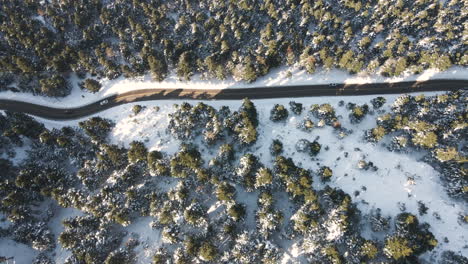 Road-surrounded-by-trees-in-snow