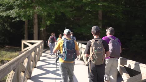 Hikers-group-walk-along-a-rout-in-the-mountain