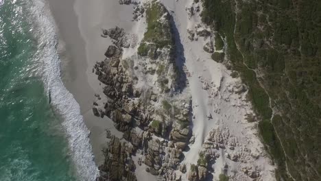 Cape-Point-Naturreservat,-Südafrika