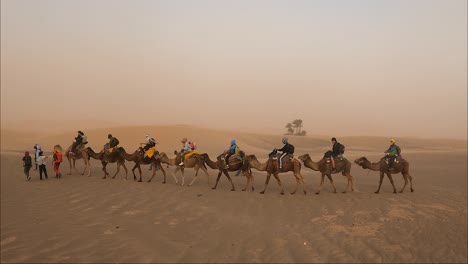 Kamel-Zu-Fuß-Durch-Die-Wüste-In-Touristengruppe