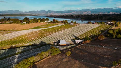 Vista-Aérea-De-Una-Bodega-Familiar-Y-Un-Viñedo-En-La-Región-De-Nelson-Y-Tasmania.