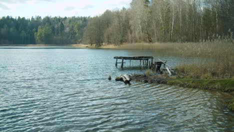 A-Small-Broken-Wooden-Pier-in-a-Lake-with-Forming-Waves-in-the-Middle-of-the-Forest