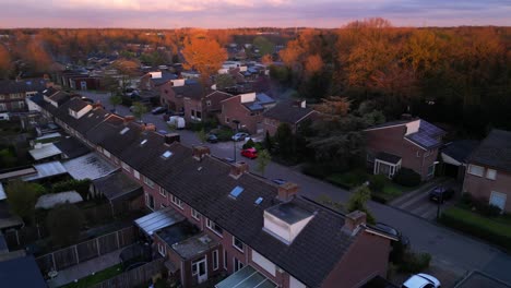 Orange-lit-tree-tops-in-Dutch-brabant-Cranendonck-village-Maarheeze-aerial