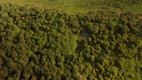 Pfeilspitzen-Fischernetze-In-Schlammigen-Gewässern-An-Der-Uferlinie-Des-Tonle-Sap,-Asiens-Größtem-Binnensee,-Kambodscha