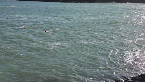 Cold-water-swimming-in-Sandycove,-Kinsale,-Ireland.-Zoom