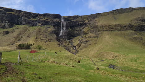 Horses-Grazing-in-Pasture-Under-Scenic-Waterfall-in-Landscape-of-Iceland-on-Sunny-Day